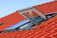 Ardtreck roof window